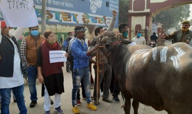 प्रयागराज मे भैंस के आगे बीन बजाकर किया विरोध प्रदर्शन