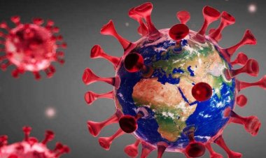 प्रयागराज में कोरोना के आज फिर रिकॉर्ड तोड़ मामलें, 9 लोगो की कोरोना से मौत