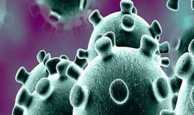 प्रयागराज में 2164 कोरोना संक्रमण के नए मामलें, 15 मौत