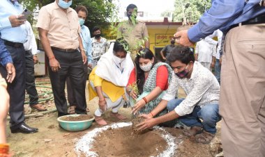 प्रयागराज महापौर ने किया वृक्षारोपण, लोगों से पर्यावरण बचाने की अपील