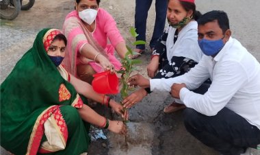 प्रयावरण दिवस पर गड्ढ़ा युक्त सड़क पर SP महिला कार्यकर्ताओं ने लगाए पौधे