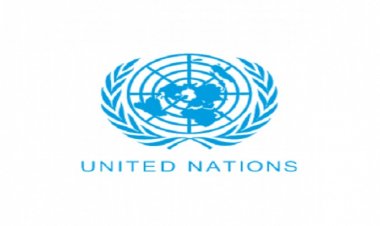 संयुक्त राष्ट्र मानवाधिकार परिषद ने चीन पर अल्पसंख्यक कैदियों के अंग निकालने पर उठाए सवाल