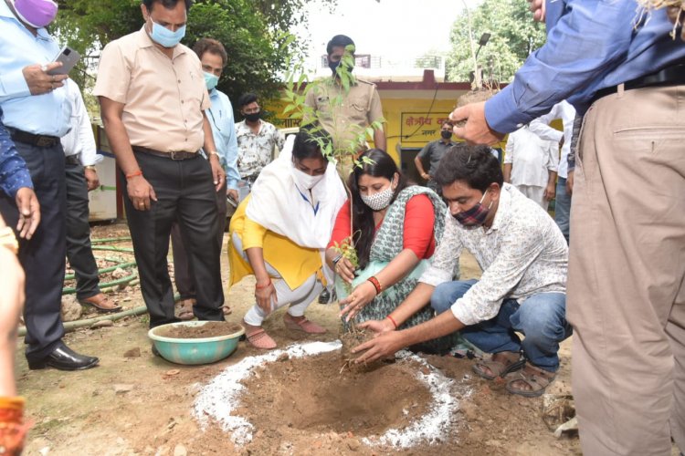 प्रयागराज महापौर ने किया वृक्षारोपण, लोगों से पर्यावरण बचाने की अपील