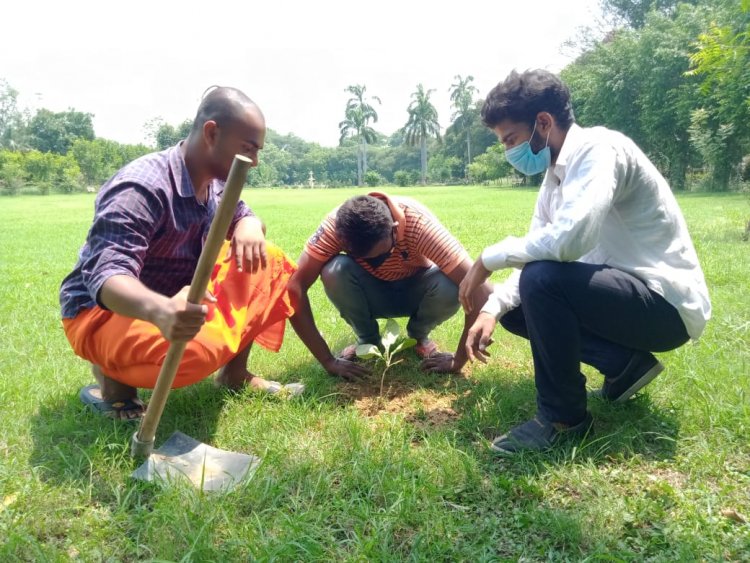 पर्यावरण दिवस पर NSUI ने लगाए 100 पेड़