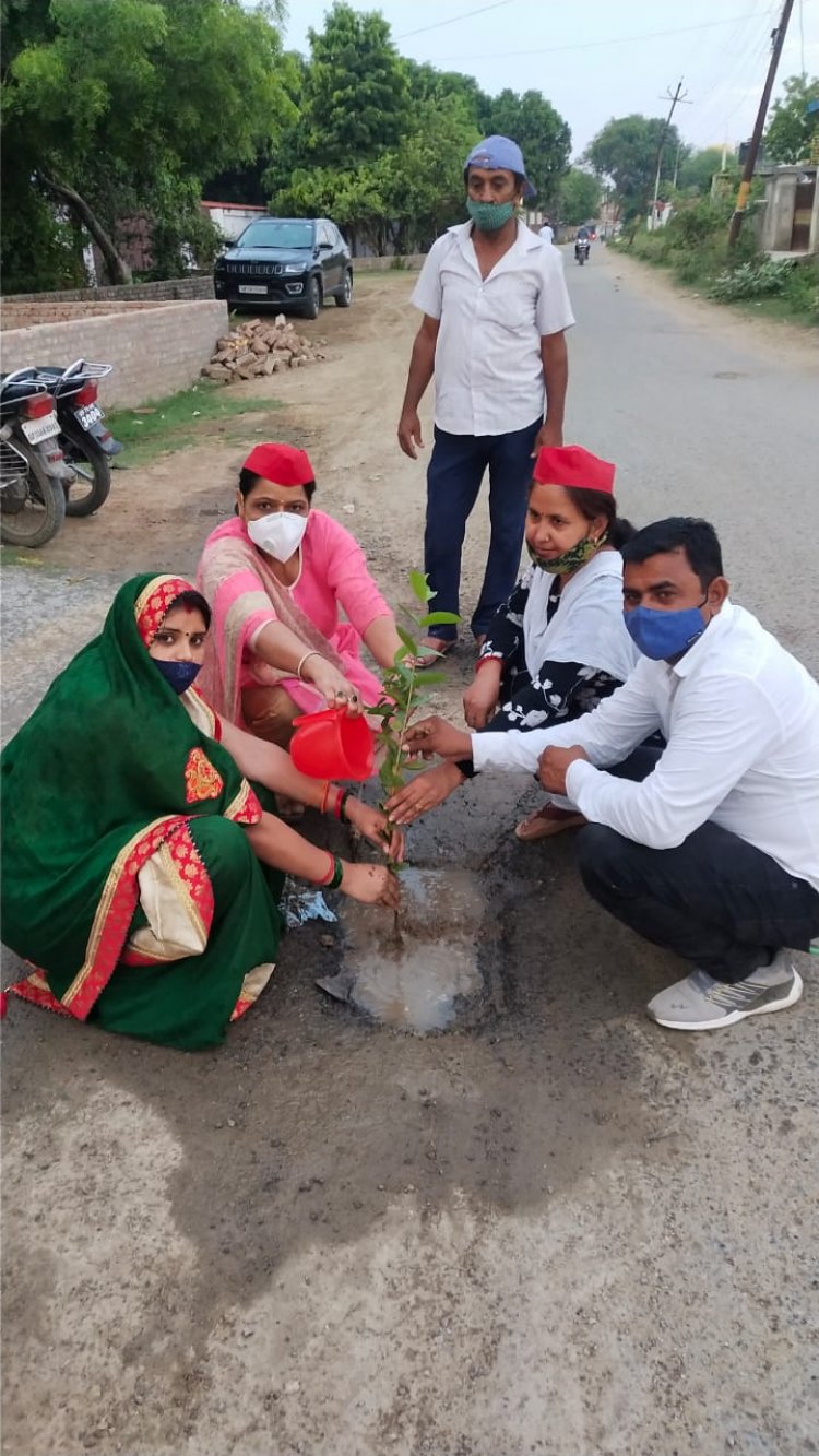 प्रयावरण दिवस पर गड्ढ़ा युक्त सड़क पर SP महिला कार्यकर्ताओं ने लगाए पौधे