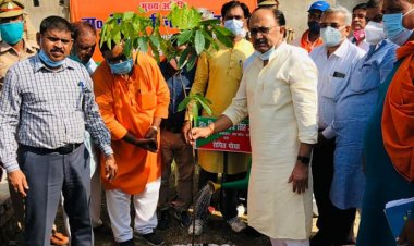 धरा का प्राकृतिक ऑक्सीजन है वृक्ष - सिद्धार्थनाथ सिंह