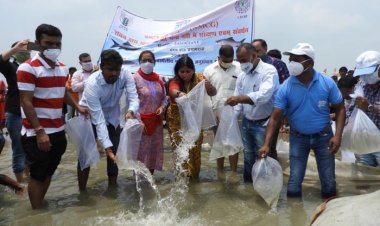 प्रयागराज: राष्ट्रीय मत्स्य किसान दिवस पर सिफरी ने गंगा में मत्स्य बीज छोड़ा