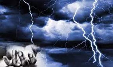 UP में बारिश और आकाशीय बिजली गिरने से 29 लोगों की मौत, मरने वालों की संख्या प्रयागराज, कौशाम्बी और कानपुर देहात में ज्यादा