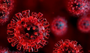 डेल्टा वेरिएंट: इंडोनेशिया व रूस में मृतकों की संख्या बढ़ी, ब्रिटेन में मरीज बढ़े, अमेरिका पर खतरा