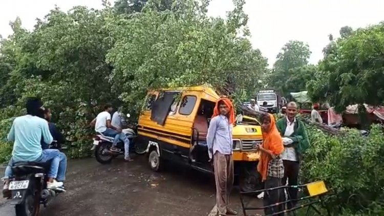 फतेहपुर: चलती गाड़ी में गिरा पेड़, लेखपाल सहित आधा दर्जन घायल