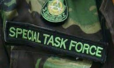 यूपी एसटीएफ ने जालसाज को दबोचा, नौकरी के नाम 150 लोगों से की दो करोड़ की ठगी