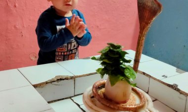 “शिवप्रिय द्रव्यावली”:डॉ. रीना रवि मालपानी