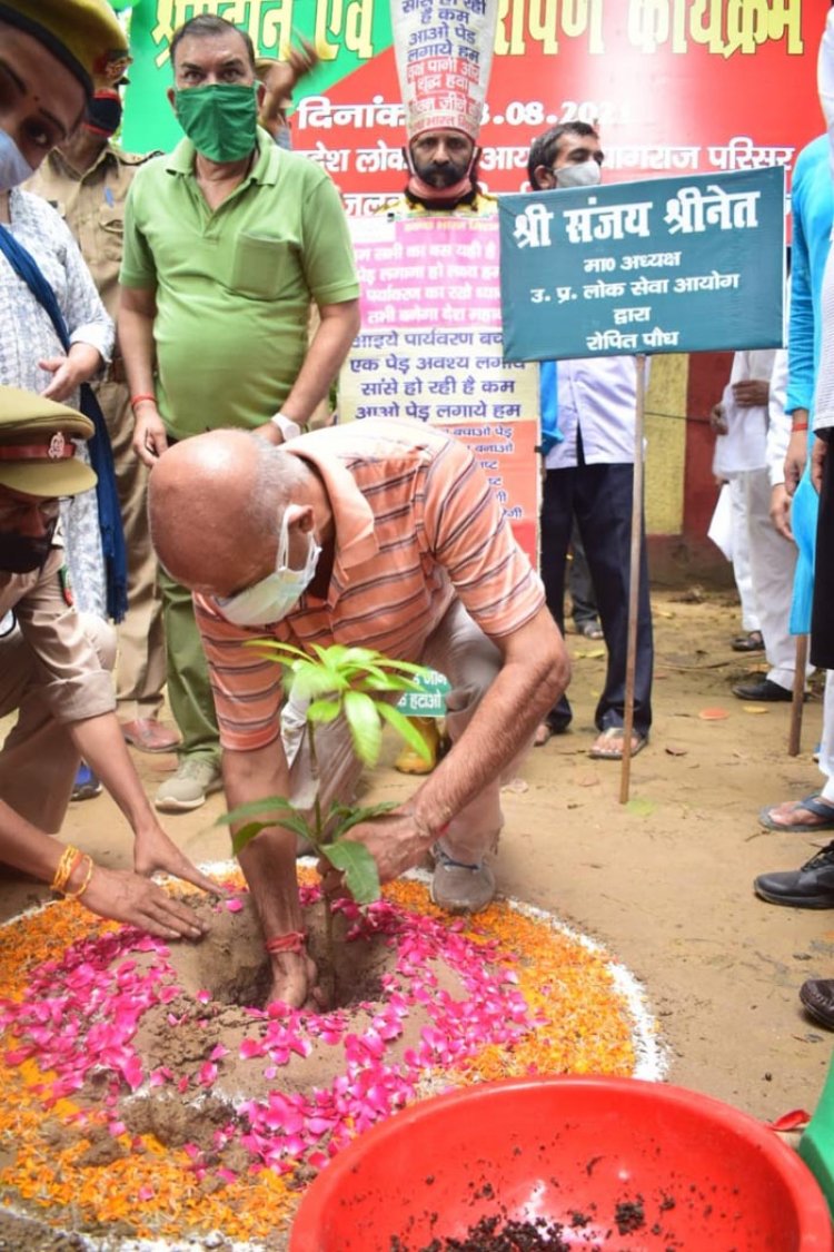 लोक सेवा आयोग में मानसून महोत्सव पर 1500 पौध रोपित