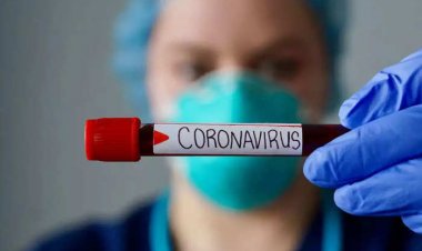 देश में कोरोना के मामले फिर बढ़े, 24 घंटे में 41 हजार से ज्यादा मरीज