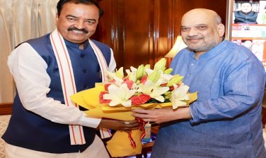 उप मुख्यमंत्री केशव ने गृहमंत्री शाह से मुलाकात कर यूपी के राजनीतिक हालात पर की चर्चा