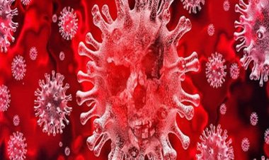 उत्तर प्रदेश के 34 जिलों में एक भी कोविड का एक्टिव केस नहीं