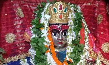 नवरात्र: बुद्धि और ज्ञान प्राप्ति के लिए श्रद्धालुओं ने स्कंद माता के दरबार में टेका मत्था