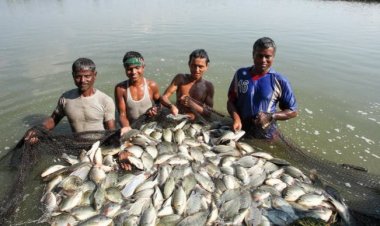 विश्व मत्स्य दिवस : 2025 तक 22 एमएमटी मछली उत्पादन का लक्ष्य