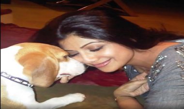 डॉगी प्रिंसेस की मौत से दुखी शिल्पा शेट्टी ने पोस्ट किया भावुक नोट