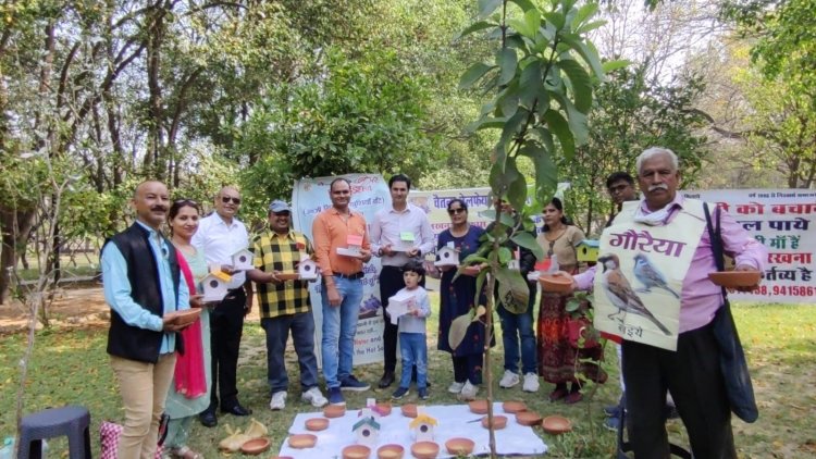 विश्व गौरैया दिवस : आपके आंगन में भी चहकेगी नन्ही सी चिड़िया, करिए थोड़ा प्रयास