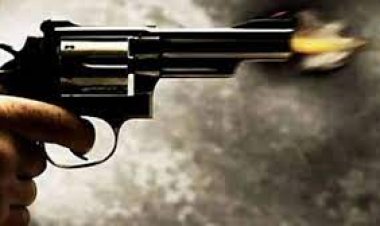 कैलिफोर्निया में गोलीबारी के चलते छह की मौत, नौ घायल