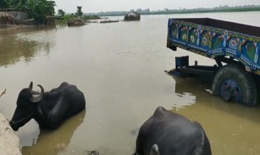 बिहार में नदियां उफान पर, गंडक-कोसी, बागमती का जलस्तर खतरे के निशान से ऊपर