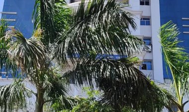 महाधिवक्ता कार्यालय में लगी आग, मचा हड़कम्प