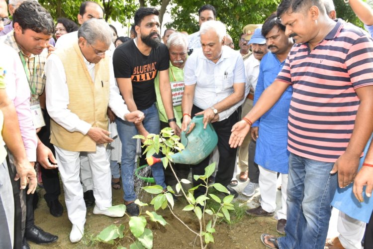 मुख्य सचिव की अपील, सभी नागरिक अपनी-अपनी कॉलोनी में करें वृक्षारोपण