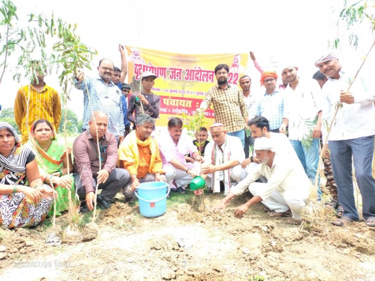 उप्र : लक्ष्य से ज्यादा हुआ पौधरोपण, बेसिक शिक्षा विभाग ने चार गुना ज्यादा रोपे पौधे