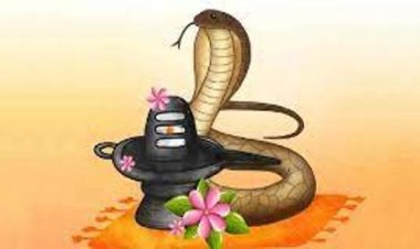 नाग देवता की पूजा को मंदिरों में उमड़ी शिव भक्तों की भीड़