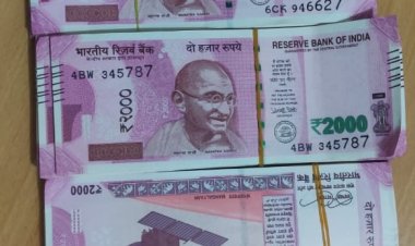 प्रयागराज एसटीएफ ने जाली नोट तस्करी करने वाले गिरोह के दो सदस्यों को किया गिरफ्तार