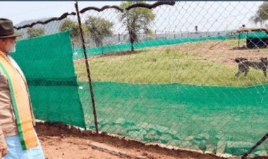 मन की बात : प्रधानमंत्री ने चीतों के नामकरण के लिए मांगे सुझाव