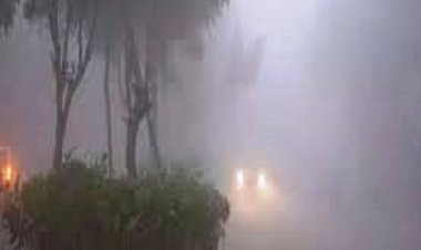 मैदान में बर्फीली हवा से पारा शून्य, कोहरे का रेल पर कहर