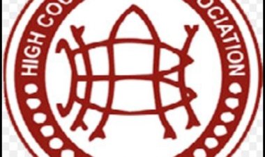 यूपी राजस्व परिषद बार एसोसिएशन के हर्ष नारायण फिर बने अध्यक्ष, पकंज महामंत्री