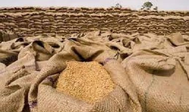 आटे की बढ़ती कीमत रोकने के लिए बफर स्टॉक से 30 लाख टन गेहूं बेचेगी सरकार