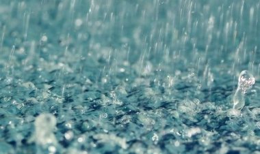 दिल्ली में बरसात से मौसम खुशगवार