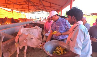 जिलाधिकारी ने ग्राम पंचायत-कुल्हडिया, कौंधियारा में बनाए गए गोवंश आश्रय स्थल का किया निरीक्षण