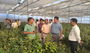 जिलाधिकारी ने ग्राम हरवारी लखापुर ब्लॉक-मेजा में नेचुरल वेंटिलेटेड पाॅली हाउस का किया निरीक्षण