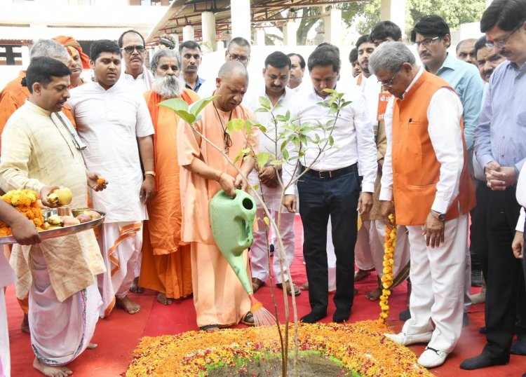 मुख्यमंत्री योगी आदित्यनाथ ने पर्यावरण दिवस एवं अपने जन्मदिन पर पौधरोपण किया