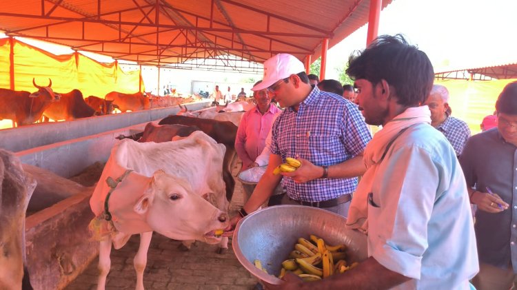 जिलाधिकारी ने ग्राम पंचायत-कुल्हडिया, कौंधियारा में बनाए गए गोवंश आश्रय स्थल का किया निरीक्षण