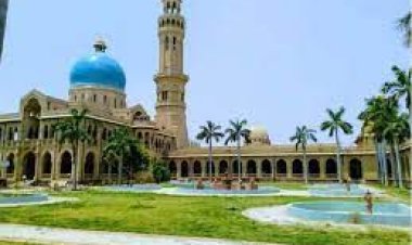 इविवि : नई शिक्षा नीति के तहत सात एवं व्यक्तित्व विकास के नौ नए कोर्स शुरू