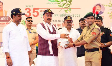 प्रयागराज : वृक्षारोपण कार्यक्रम में 64 लाख पौधों का किया रोपण