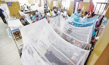 बांग्लादेश: डरावना रूप लेता डेंगू, अबतक 215 लोगों की मौत