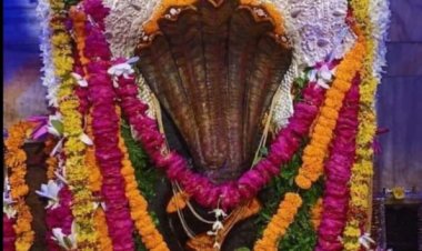 दारागंज के नागवासुकी मंदिर में नागों के राजा की पूजा