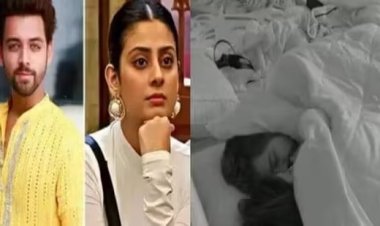 'बिग बॉस' शो में लिपलॉक करते नजर आये कंटेस्टेंट्स, वीडियो वायरल