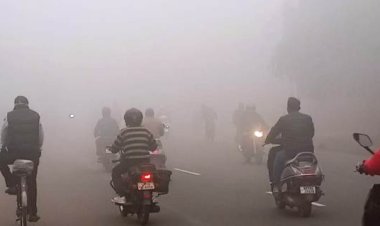 उप्र में पछुआ हवाओं से धूप हो रही बेअसर, धुंध और शीतलहर बरकरार