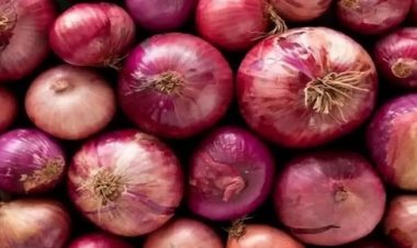 सरकार ने प्याज के निर्यात पर 40 फीसदी शुल्क लगाया, नई दरें लागू