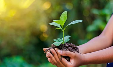 (पर्यावरण दिवस विशेष) धरती, हम लोग और हमारा भविष्य