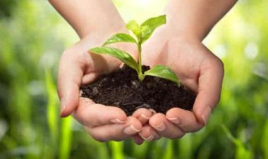 पर्यावरण के प्रति जागरुकता क्यों नहीं?