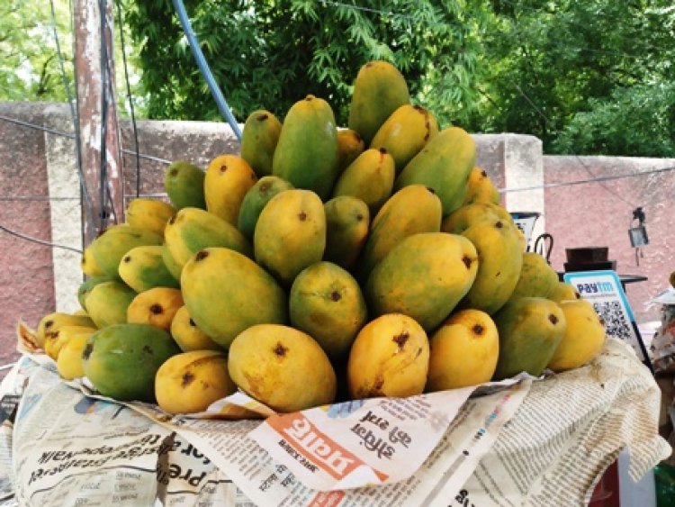 सड़क किनारे तक पहुंची दशहरी आम की खुशबू, बजट में दाम